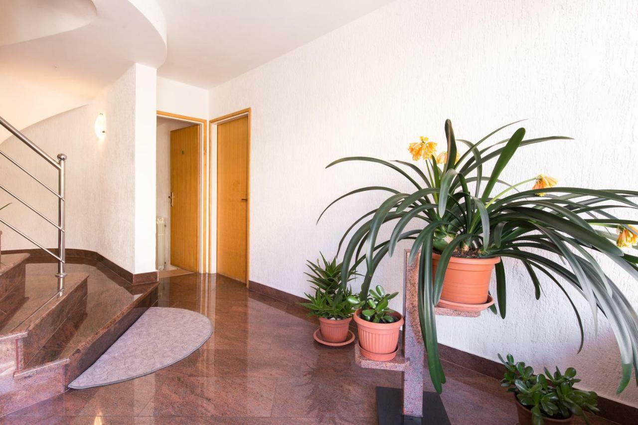 Villa Paradiso Пунат Экстерьер фото
